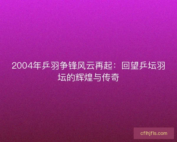 2004年乒羽争锋风云再起：回望乒坛羽坛的辉煌与传奇