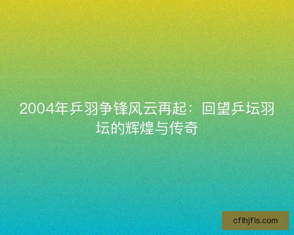 2004年乒羽争锋风云再起：回望乒坛羽坛的辉煌与传奇