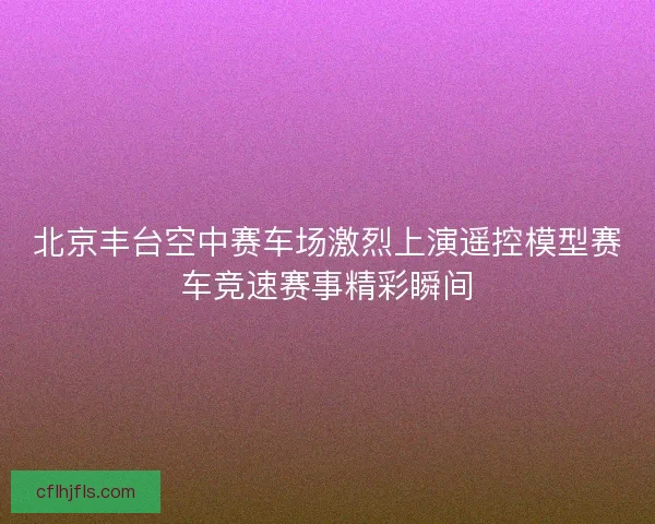 北京丰台空中赛车场激烈上演遥控模型赛车竞速赛事精彩瞬间 北京丰台空中赛车场激烈上演遥控模型赛车竞速赛事精彩瞬间