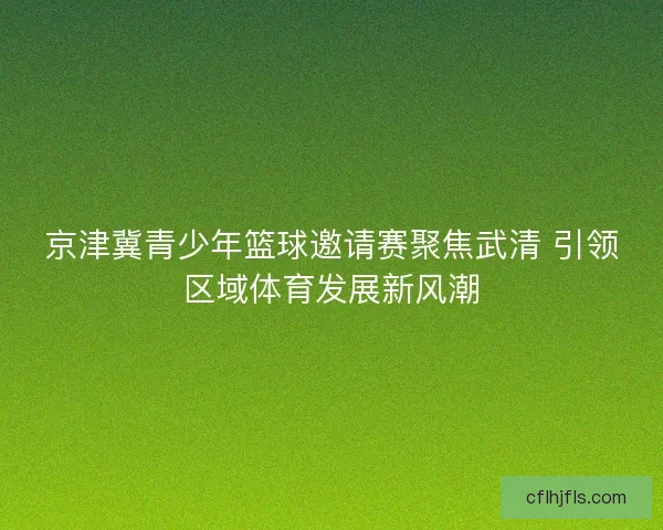 京津冀青少年篮球邀请赛聚焦武清 引领区域体育发展新风潮 京津冀青少年篮球邀请赛聚焦武清 引领区域体育发展新风潮